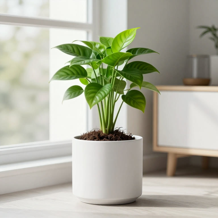 Maceta autorregante con una planta de interior sana junto a una ventana luminosa